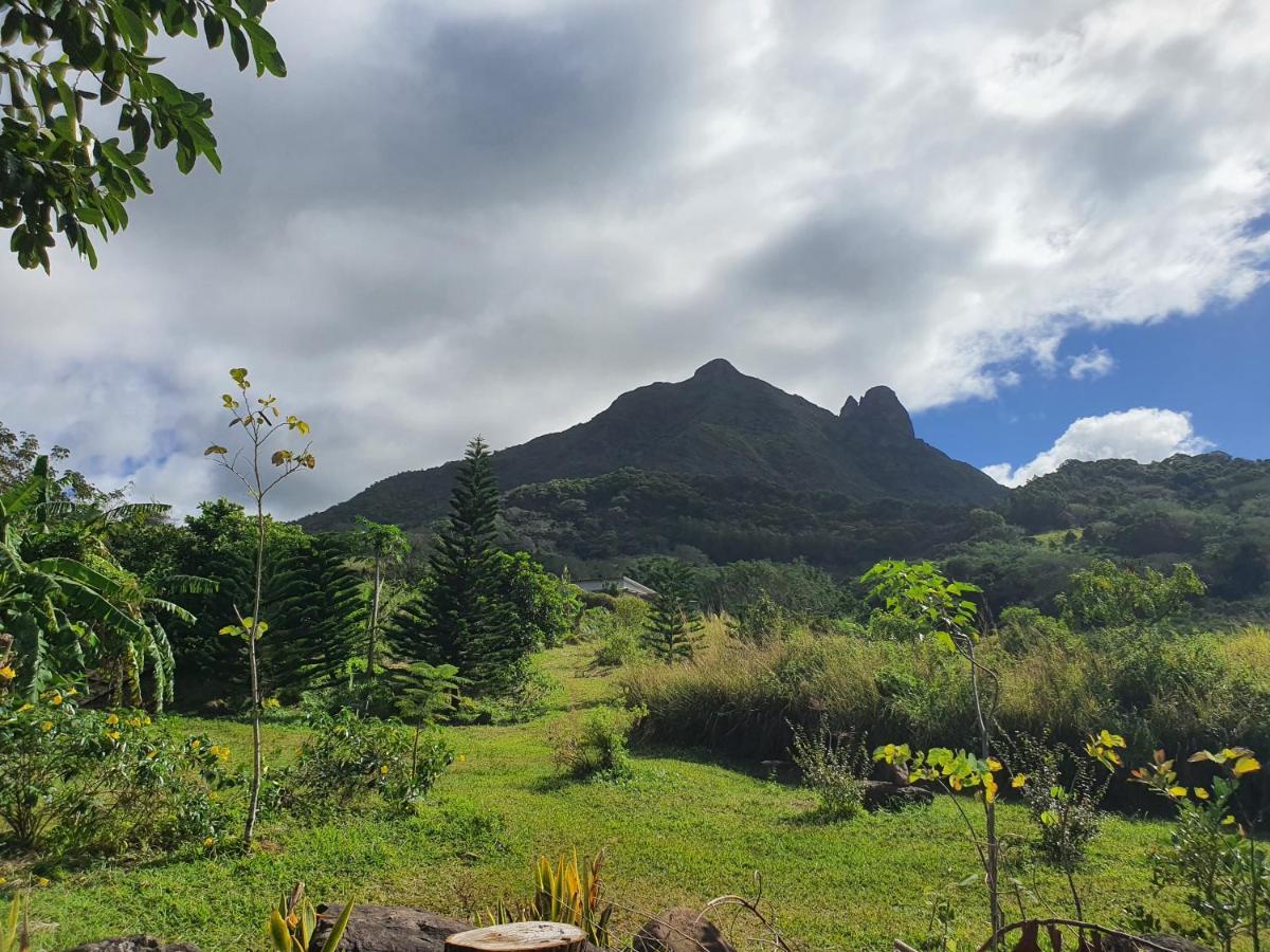 Le Chalet, La Petite Ferme Vieux Grand Port ภายนอก รูปภาพ